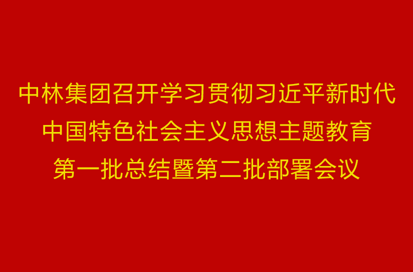 中林集团召开学习贯彻席大大新时代中国特色社会主义思想主题教育第一批总结暨第二批部署会议